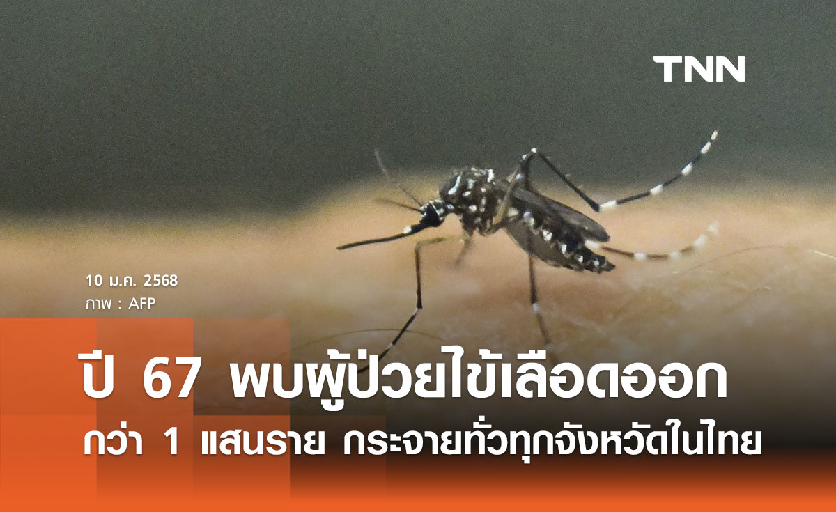 ปี 2567 พบผู้ป่วยโรคไข้เลือดออก กว่า 1 แสนราย กระจายทั่วทุกจังหวัด