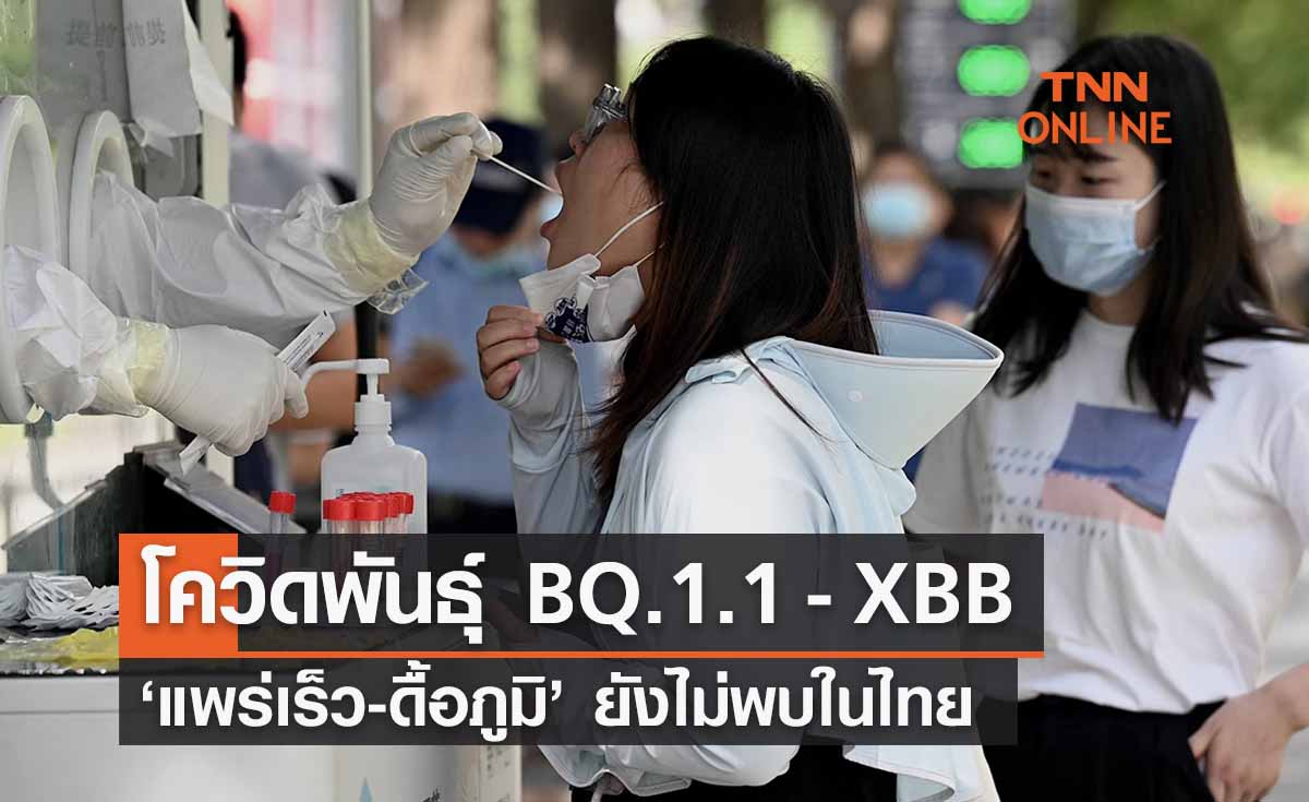 โควิดพันธุ์ BQ.1.1 - XBB ‘แพร่เร็ว-ดื้อภูมิ’ สธ.ยันยังไม่พบในไทย