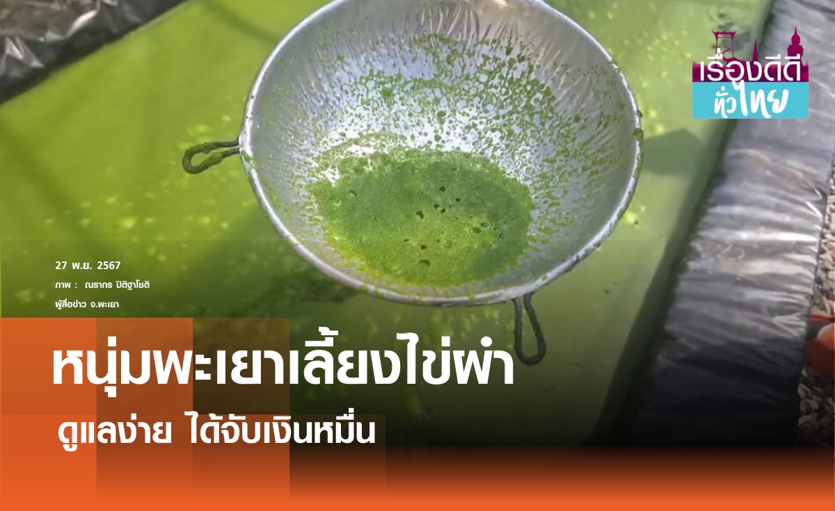 หนุ่มพะเยาเลี้ยงไข่ผำ พืชมหัศจรรย์ราคาดี  I เรื่องดีดีทั่วไทย