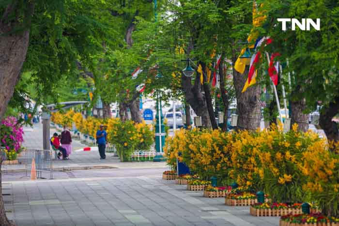 ประดับดอกไม้ เติมสีสันบนถนนประวัติศาสตร์ เฉลิมพระเกียรติในโอกาสพระราชพิธีมหามงคลวันเฉลิมพระชนมพรรษา 2567