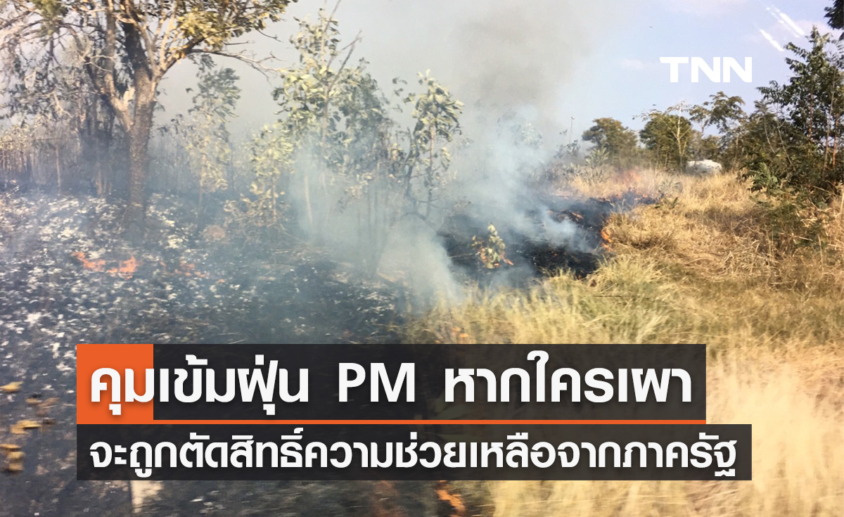 คุมเข้มฝุ่น PM 2.5 หากใครเผาจะถูกตัดสิทธิ์ไม่ได้รับความช่วยเหลือจากรัฐ