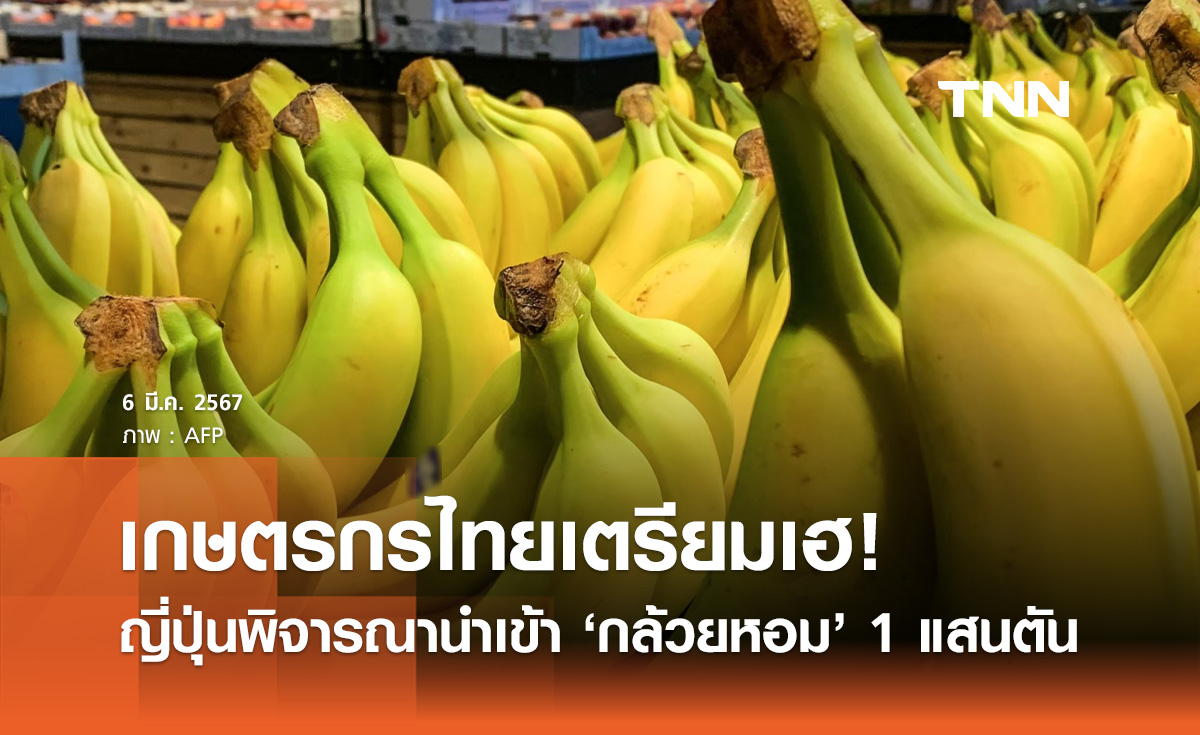 เกษตรกรเตรียมเฮ! ญี่ปุ่น พิจารณาโควต้านำเข้า กล้วยหอมไทย 1 แสนตัน