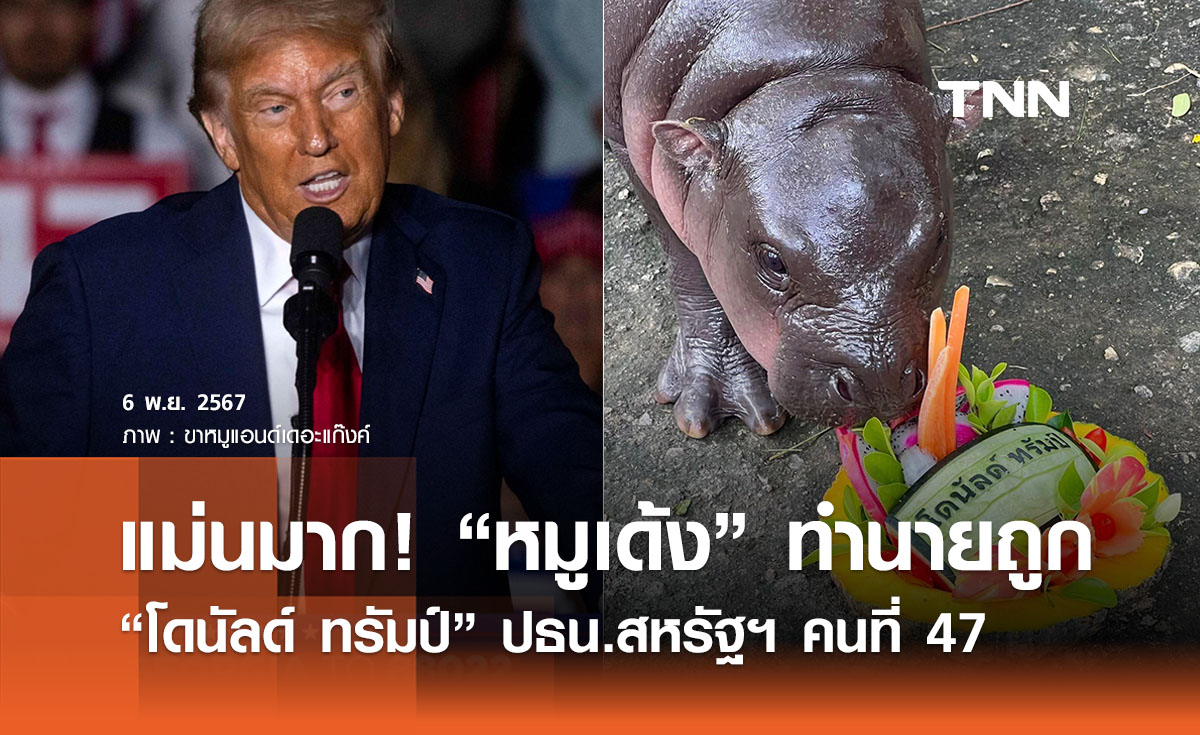 “หมูเด้ง” ทายถูก “โดนัลด์ ทรัมป์” ว่าที่ประธานาธิบดีสหรัฐฯ คนที่ 47 