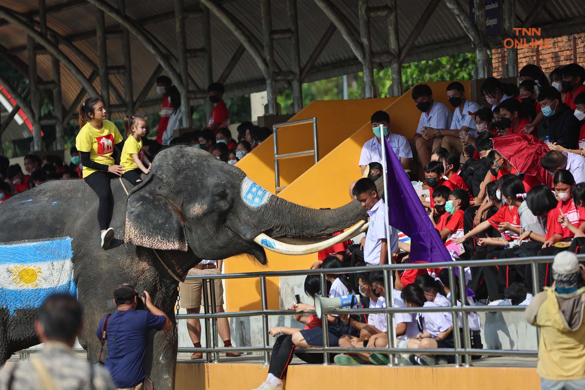 อยุธยาจัด“ช้างเตะบอลกับคน” ร่วมรณรงค์เชียร์บอลโลกไม่เล่นการพนัน