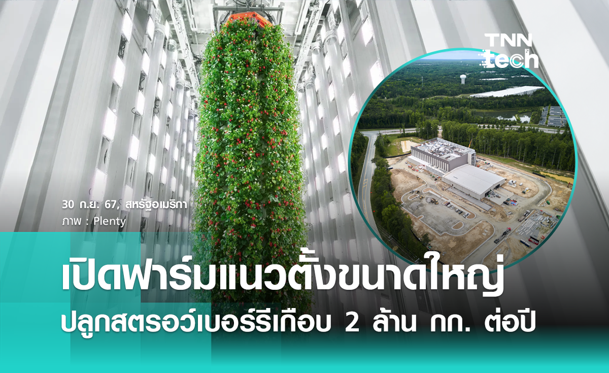 สหรัฐฯ เปิดฟาร์มแนวตั้งขนาดใหญ่แห่งแรกของโลก ปลูกสตรอว์เบอร์รีเกือบ 2 ล้าน กก. ต่อปี