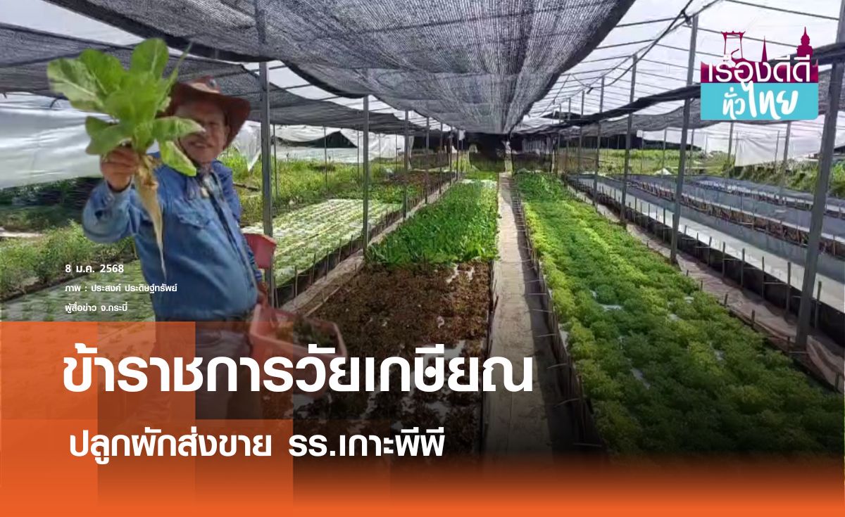 ข้าราชการวัยเกษียณ ปลูกผักส่งขาย รร.เกาะพีพี I เรื่องดีดีทั่วไทย 