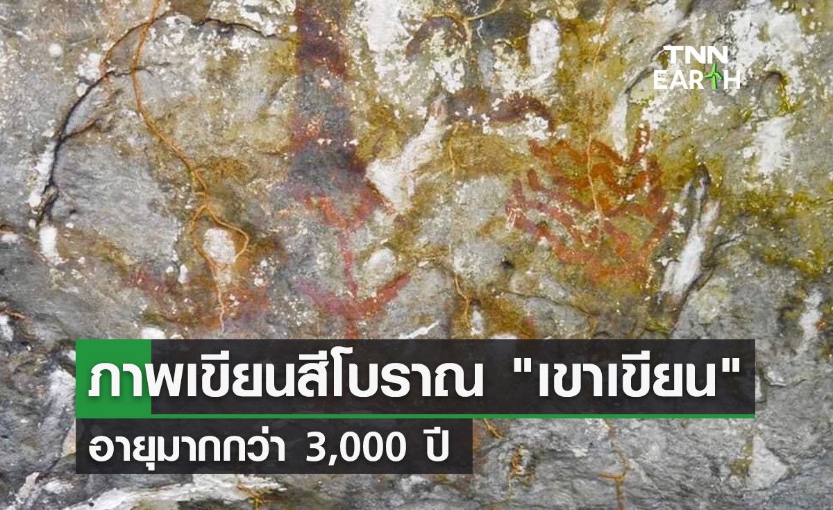 ภาพเขียนสีโบราณ เขาเขียน  อายุมากกว่า 3,000 ปี