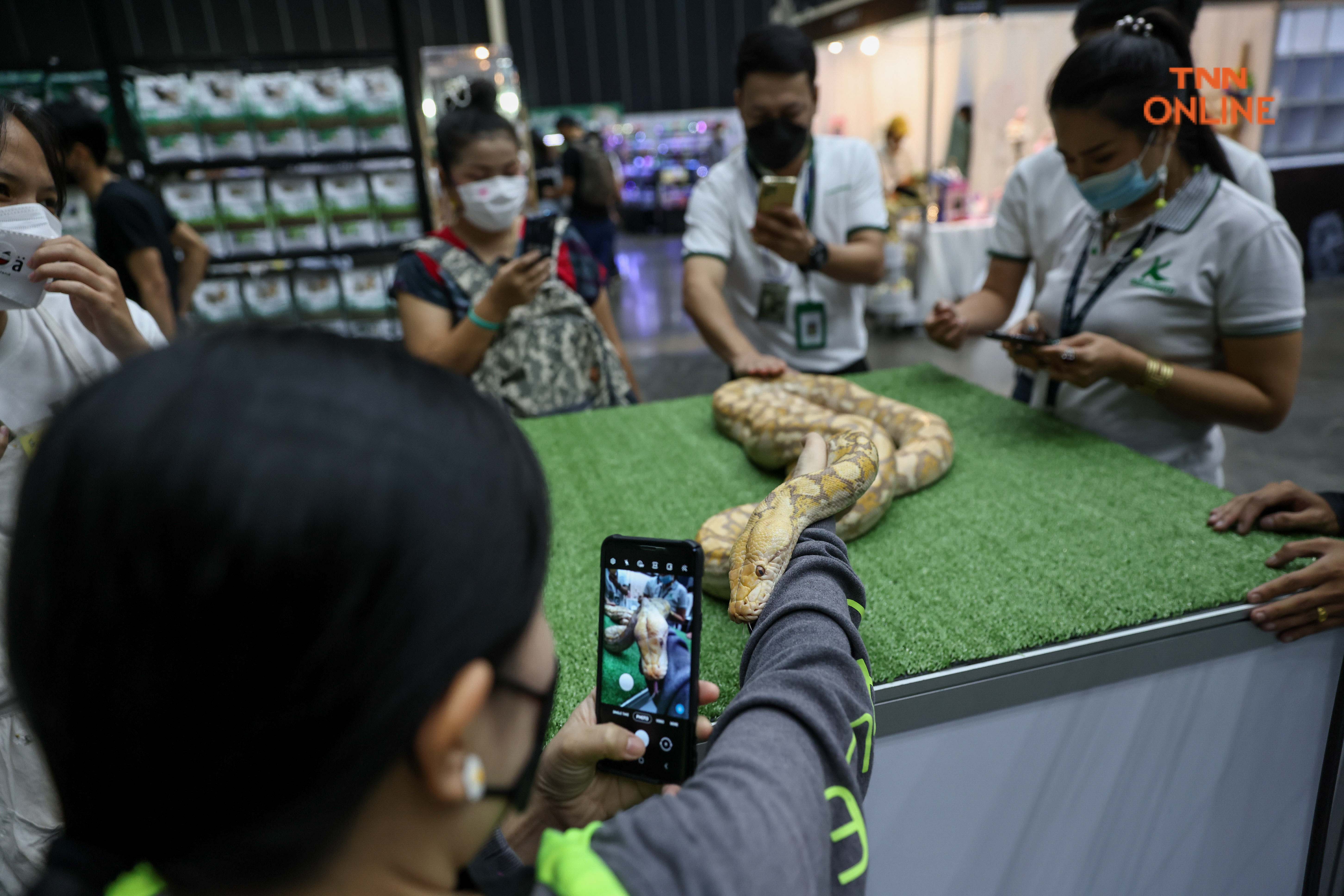 เริ่มแล้ว PET EXPO2022 ชวนชมความน่ารักจากเหล่าเพื่อนรักสี่ขา