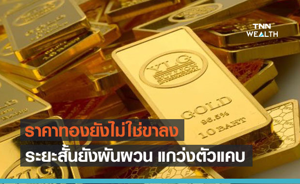 วายแอลจี มอง ราคาทอง ระยะสั้นผันผวน ไม่หลุด 24,000 บ.ยังไม่ใช่ขาลง