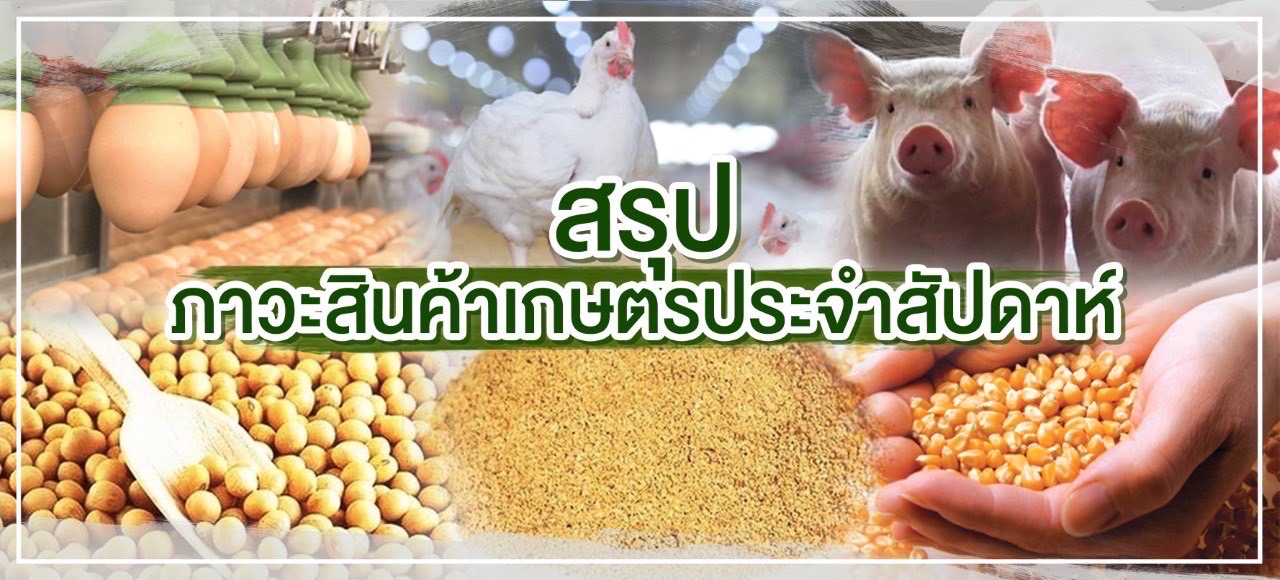 สรุปภาวะสินค้าเกษตรประจำสัปดาห์ วันที่ 12-16 กันยายน 2565