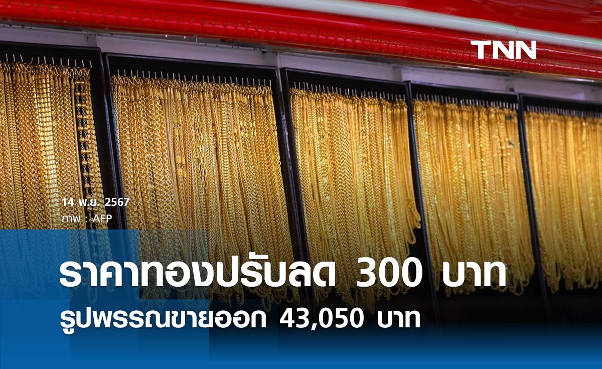 ราคาทองคำวันนี้ 14/11/67 เปิดตลาดปรับลด 300 บาท รูปพรรณขายออก 43,050 บาท 