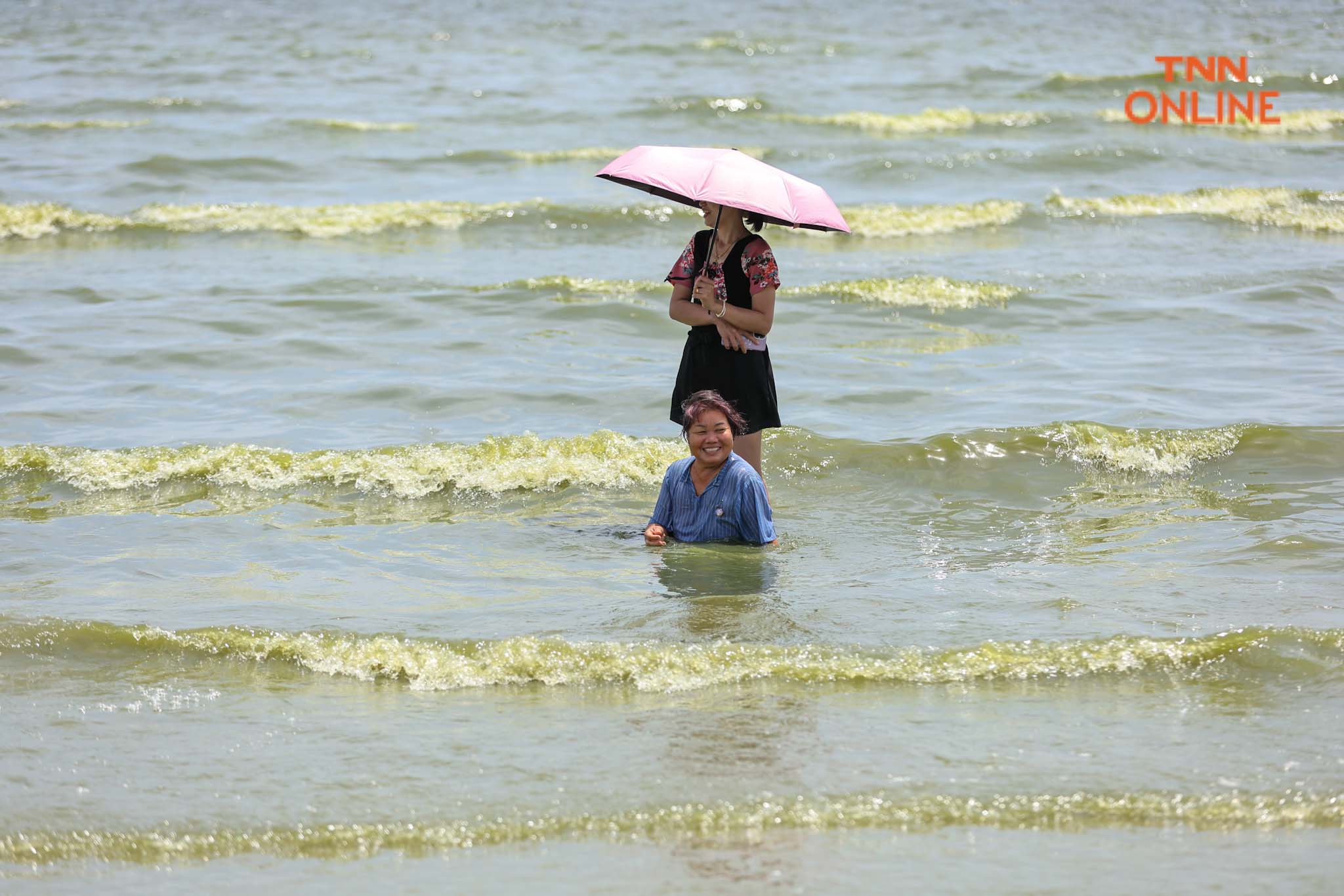 บางแสนน้ำทะเลสีเขียว จาก "แพลงก์ตอนบลูม" กระทบ นทท. บางตา