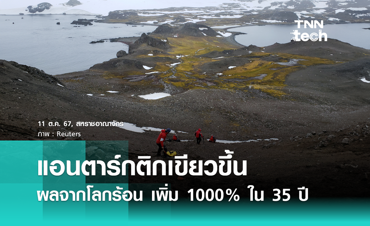 แอนตาร์กติกเขียวขึ้น ผลกระทบจากโลกร้อน เพิ่ม 1000% ใน 35 ปี