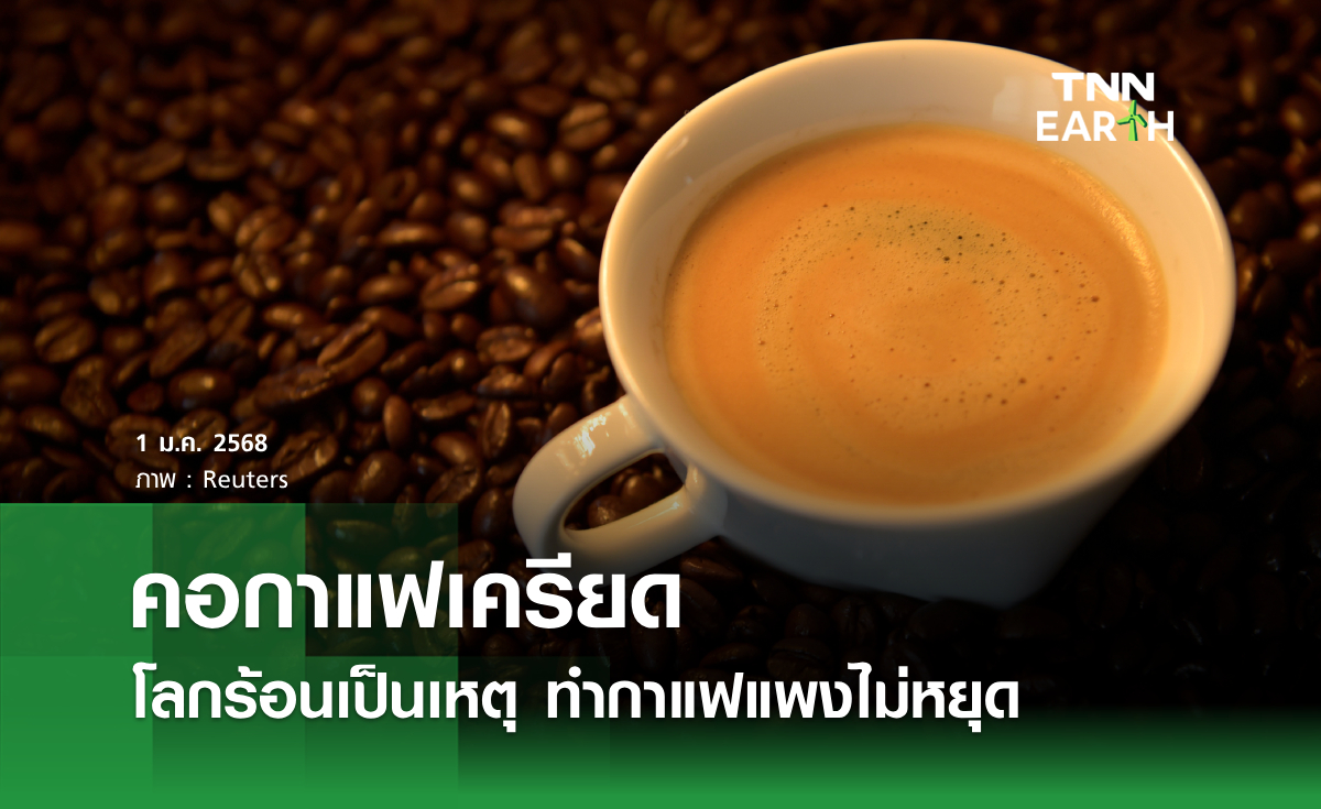 คอกาแฟเครียด โลกร้อนเป็นเหตุ ทำกาแฟแพงไม่หยุด