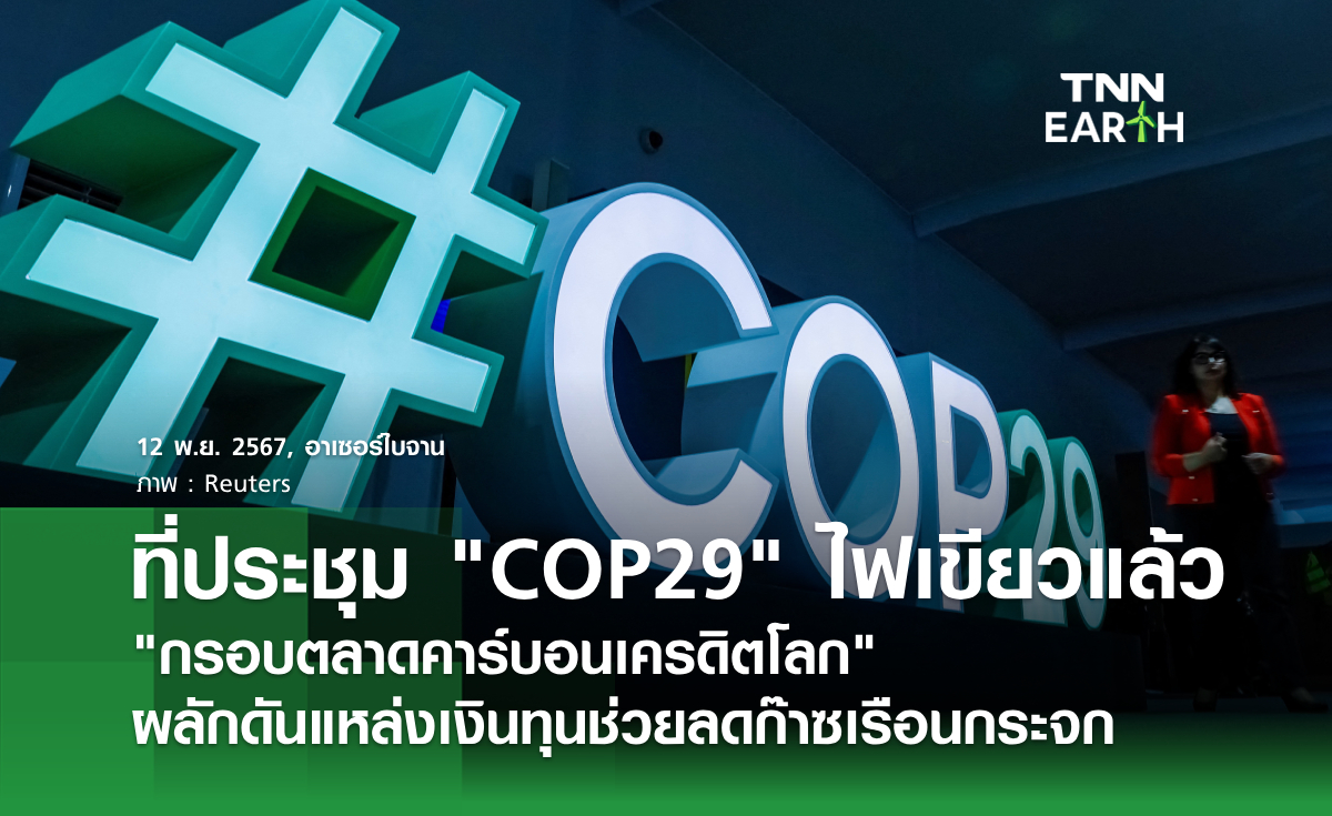 ที่ประชุม COP29 ไฟเขียวแล้ว กรอบตลาดคาร์บอนเครดิตโลก ผลักดันแหล่งเงินทุนช่วยลดก๊าซเรือนกระจก