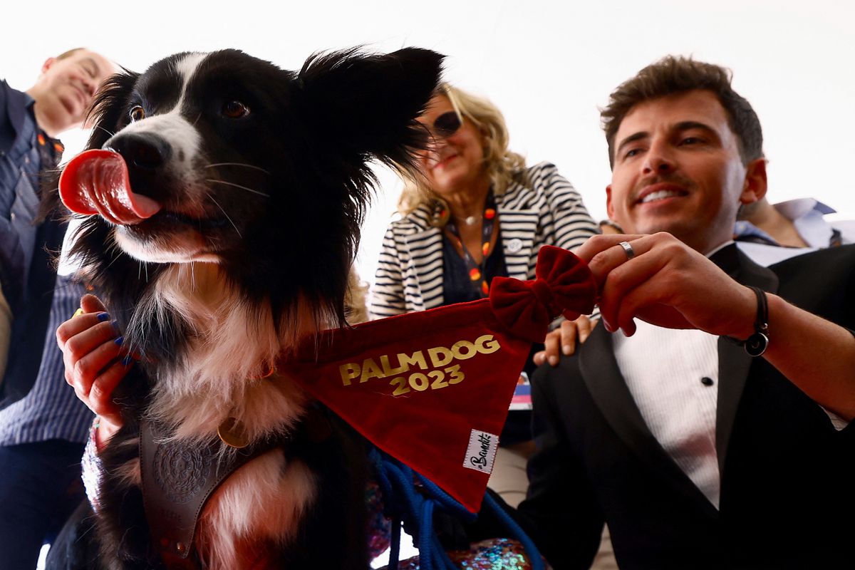 อุ่นเครื่องก่อนปาล์มทองประกาศผลรางวัล Palm Dog 2023 (มีคลิป) 