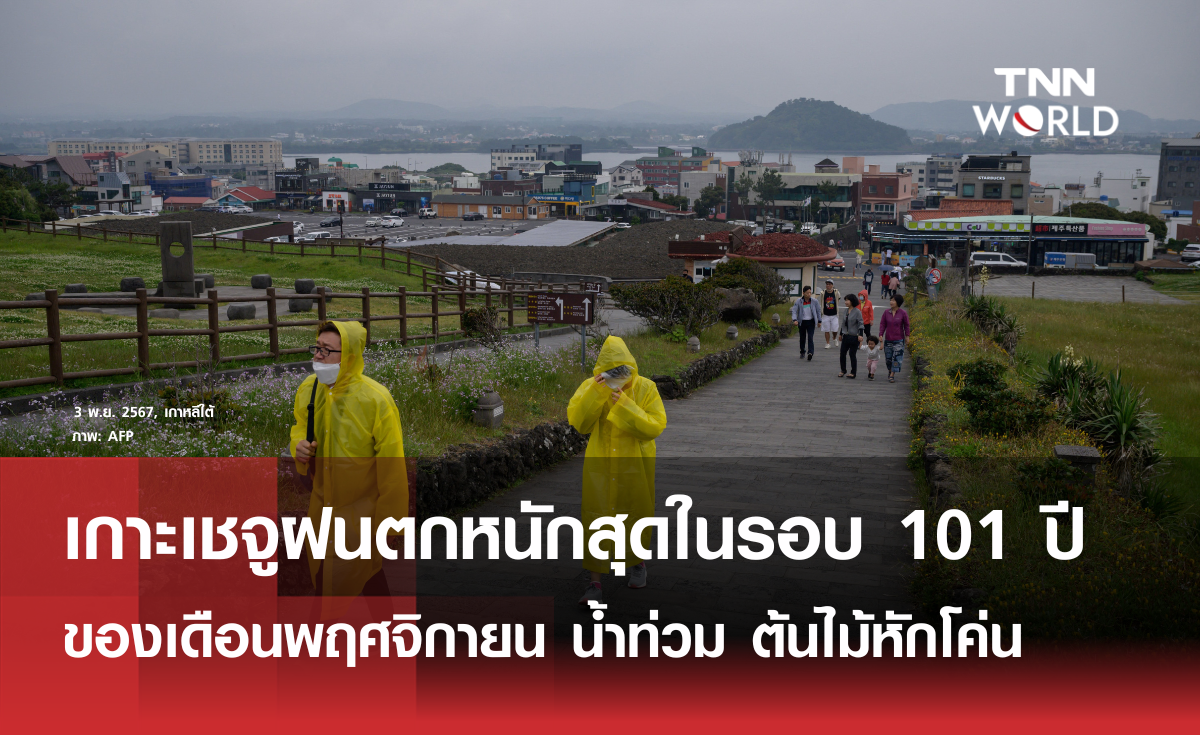 เกาะเชจูฝนตกหนักในรอบ 101 ปี ของเดือนพฤศจิกายน