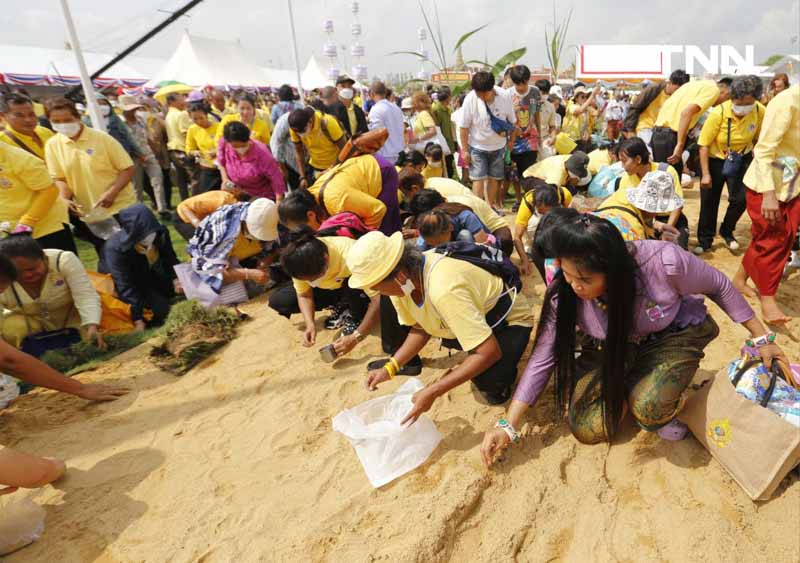 ปชช.แย่งเก็บพันธุ์ข้าว เสริมสิริมงคลหลังพระราชพิธีวันพืชมงคล