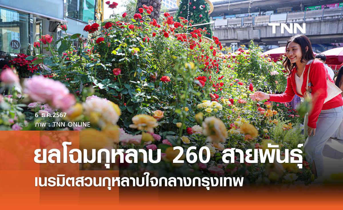 ยลโฉมกุหลาบ 260 สายพันธุ์ เนรมิตสวนกุหลาบใจกลางกรุงเทพ