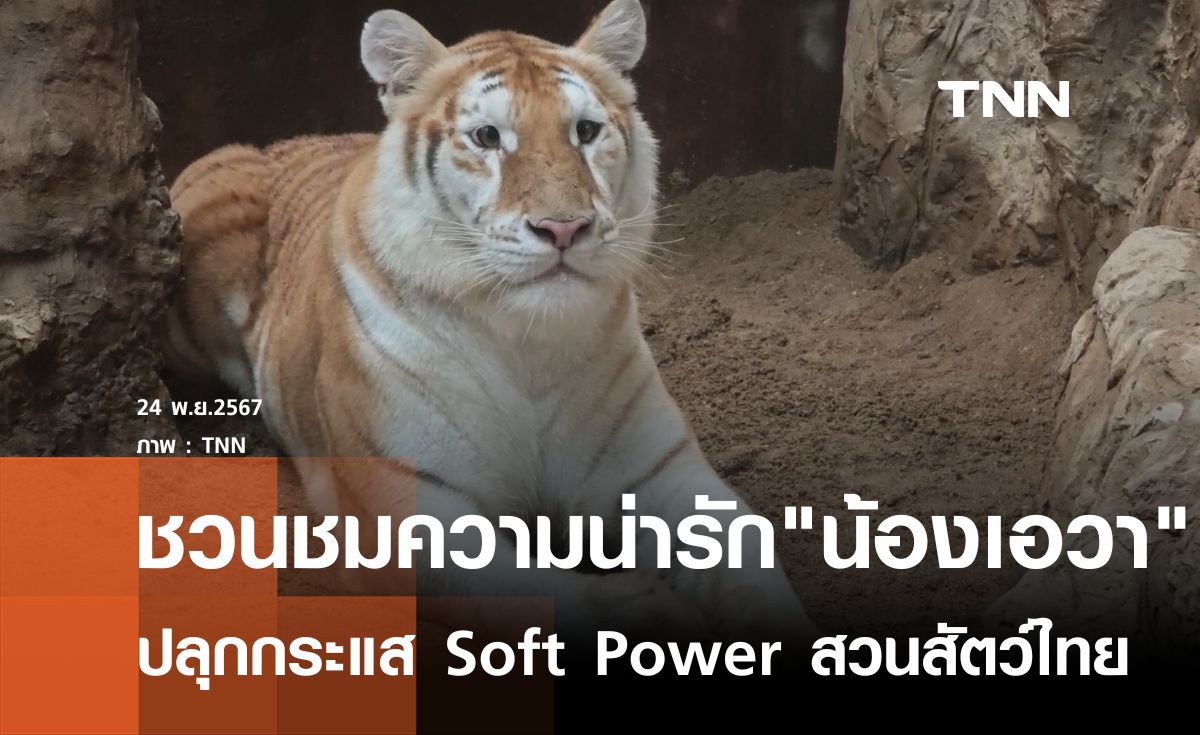 ชวนชมความน่ารัก"น้องเอวา"  ปลุกกระแส Soft Power สวนสัตว์ไทย