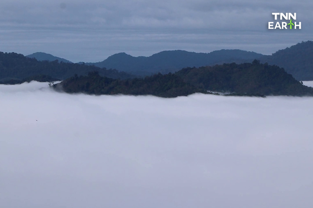 สรุปสภาพอากาศปี 2565 ฝนมากผิดปกติกลางปี