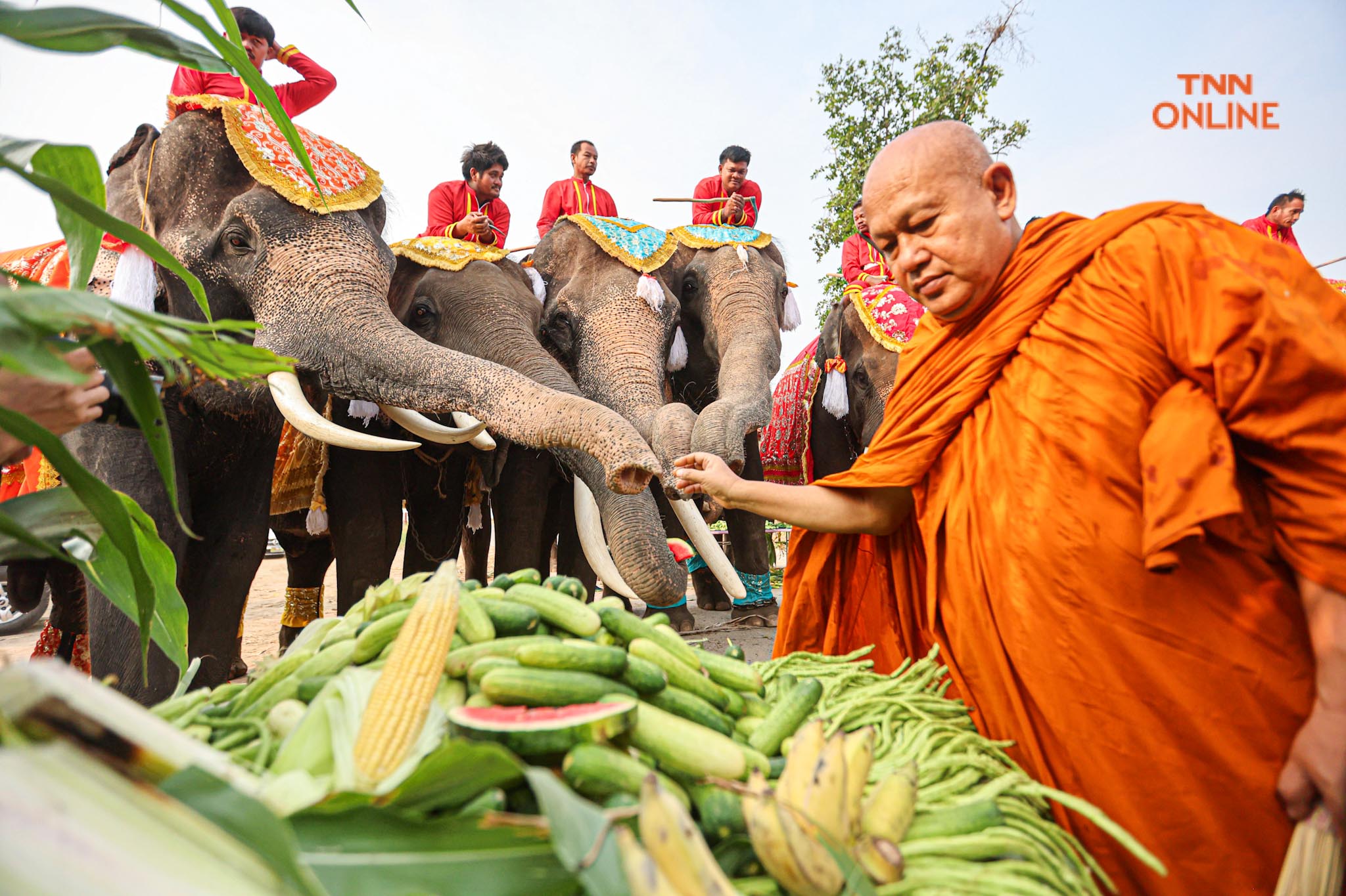 “วันช้างไทย” แลเพนียด ทำบุญ-เลี้ยงอาหารช้าง เพื่อเป็นสิริมงคล