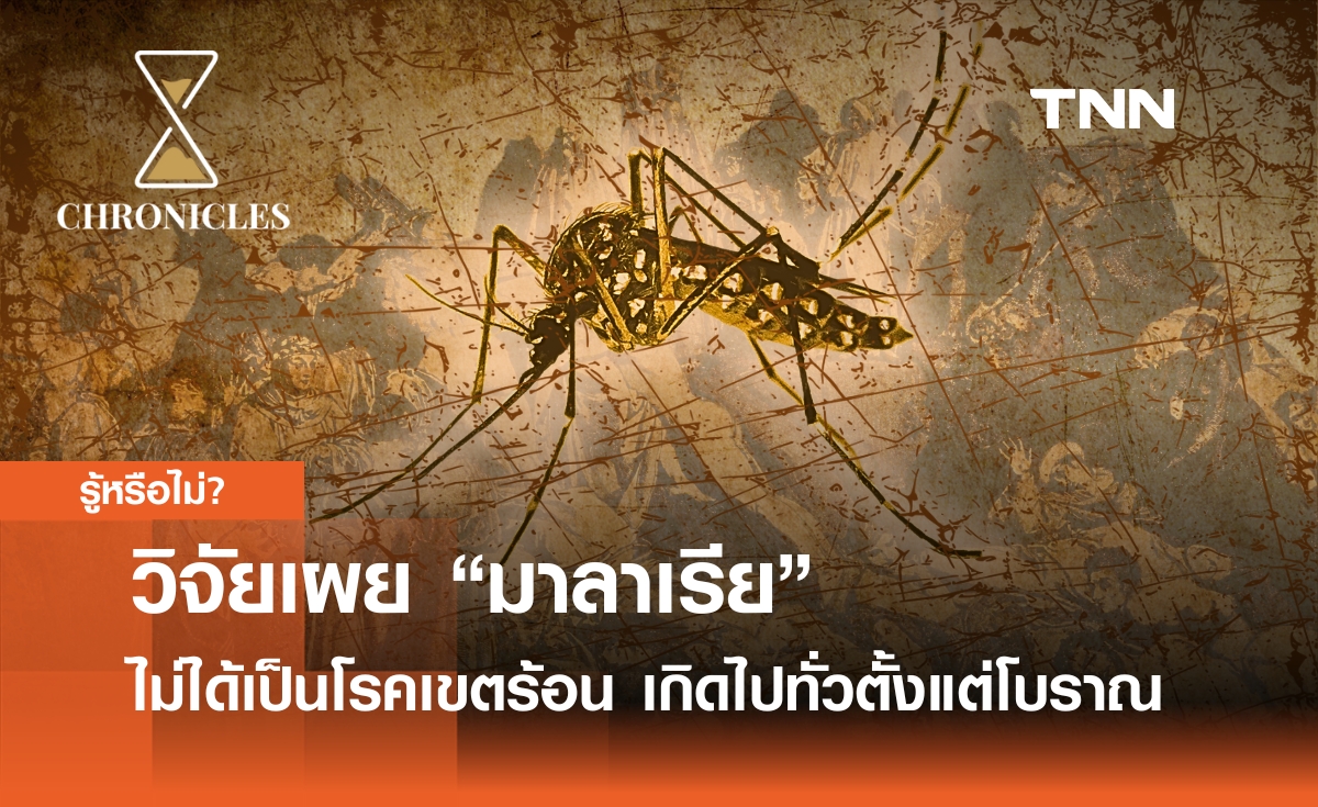 วิจัยเผย “มาลาเรีย” ไม่ได้เป็นโรคเขตร้อน แต่เกิดไปทั่วตั้งแต่โบราณ