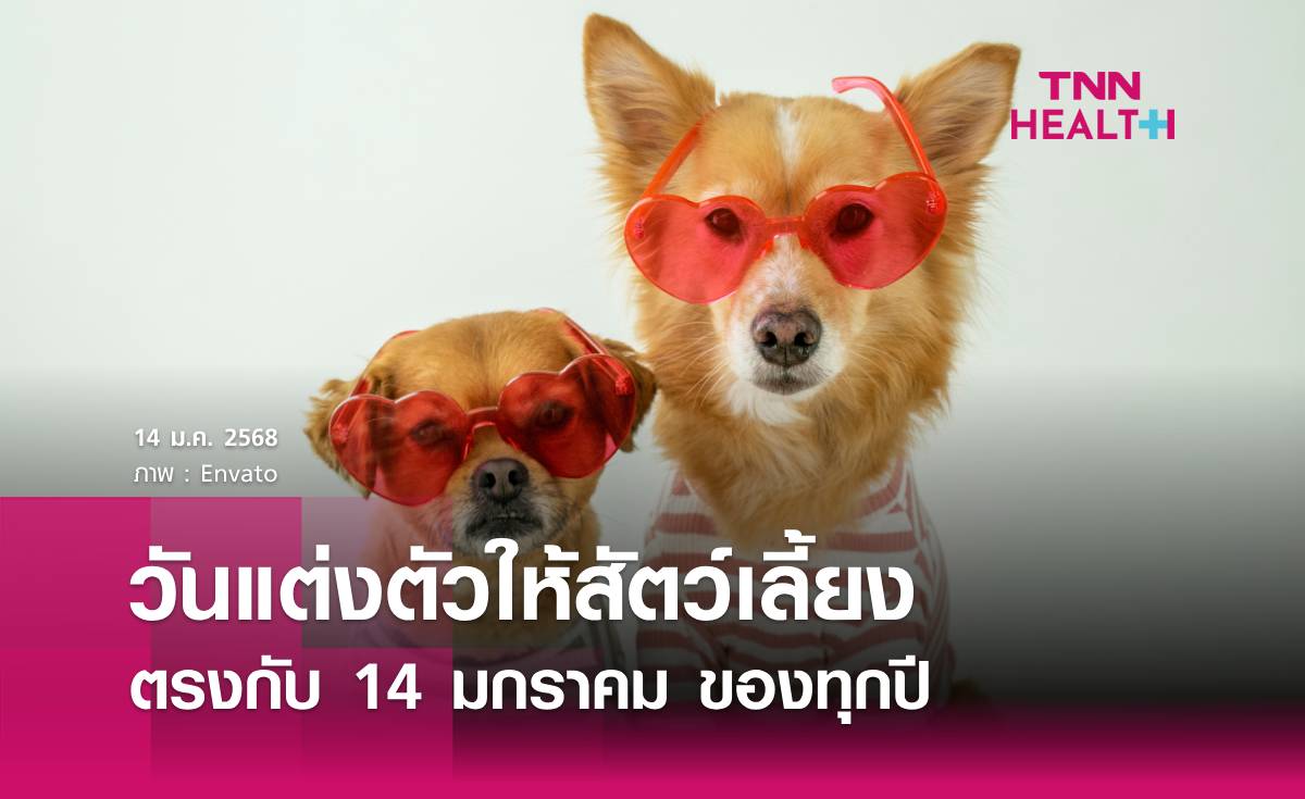 14 มกราคม วันแต่งตัวให้แมวหรือสัตว์เลี้ยงของคุณ!