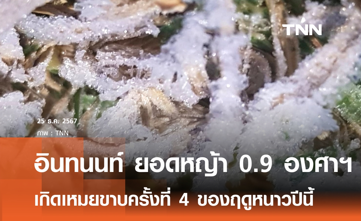 ดอยอินทนนท์หนาวจัด ยอดหญ้า 0.9 องศาฯ เหมยขาย โผล่อีก