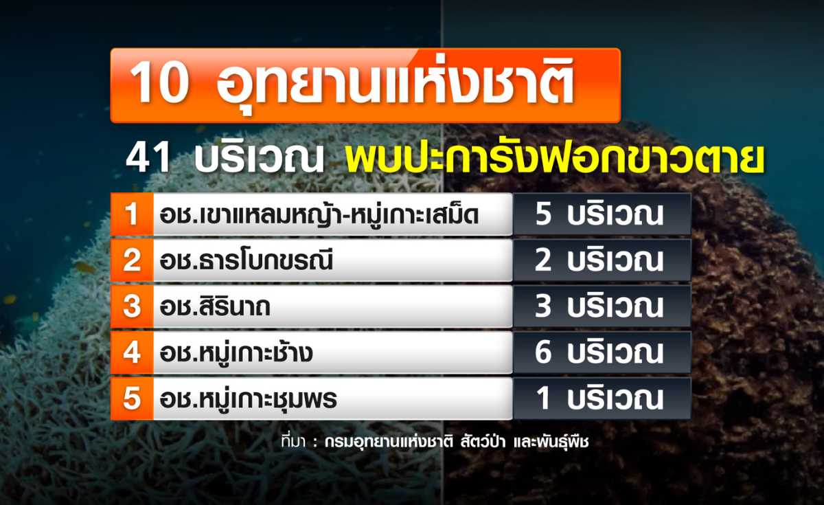 10 อุทยานฯ ปะการังฟอกขาวตาย ส.ค.-ก.ย. สิ้นสุดสถานการณ์ฟอกขาว ลุ้นจำนวนปะการังรอด-ตาย ?