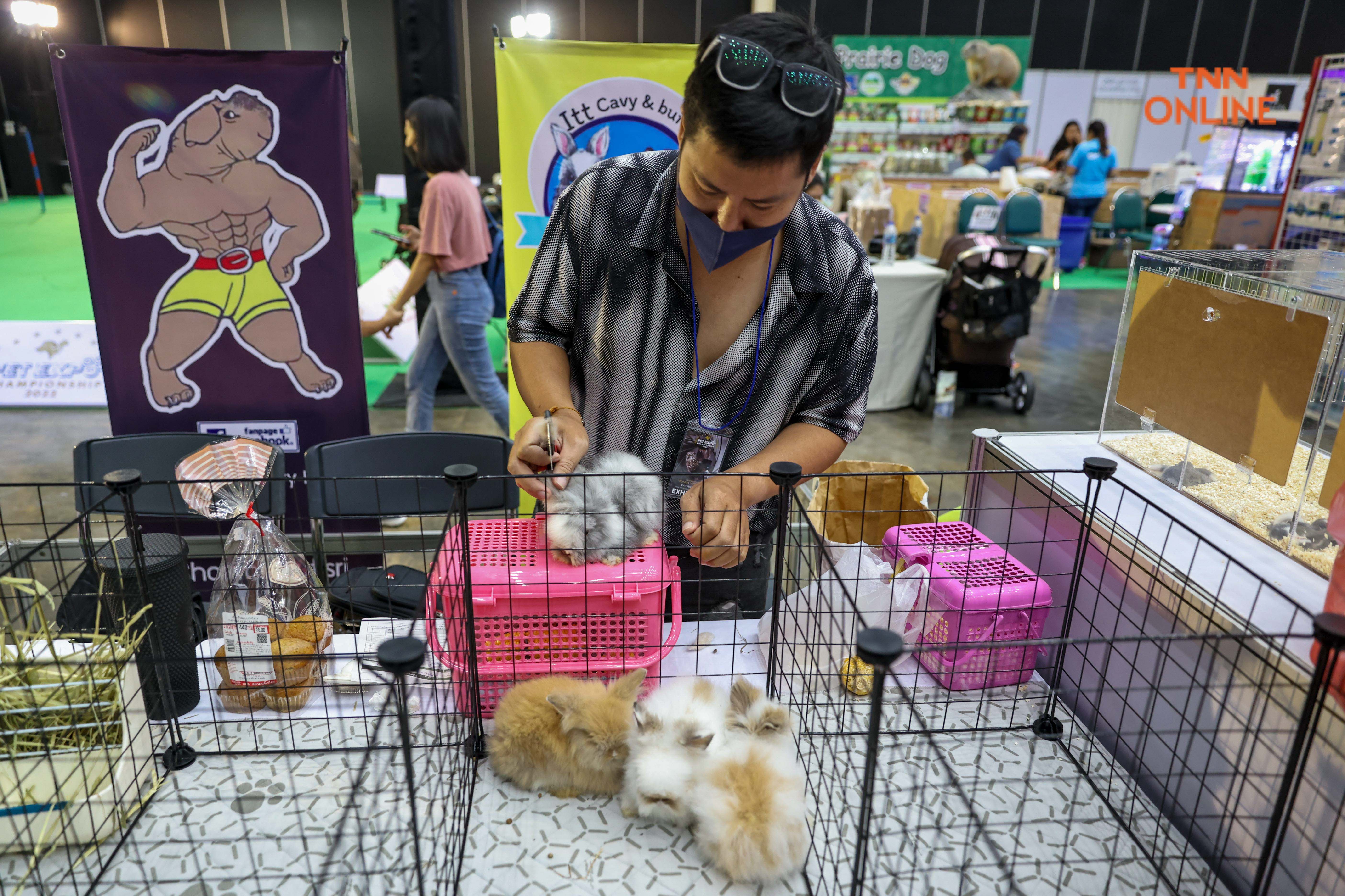 เริ่มแล้ว PET EXPO2022 ชวนชมความน่ารักจากเหล่าเพื่อนรักสี่ขา