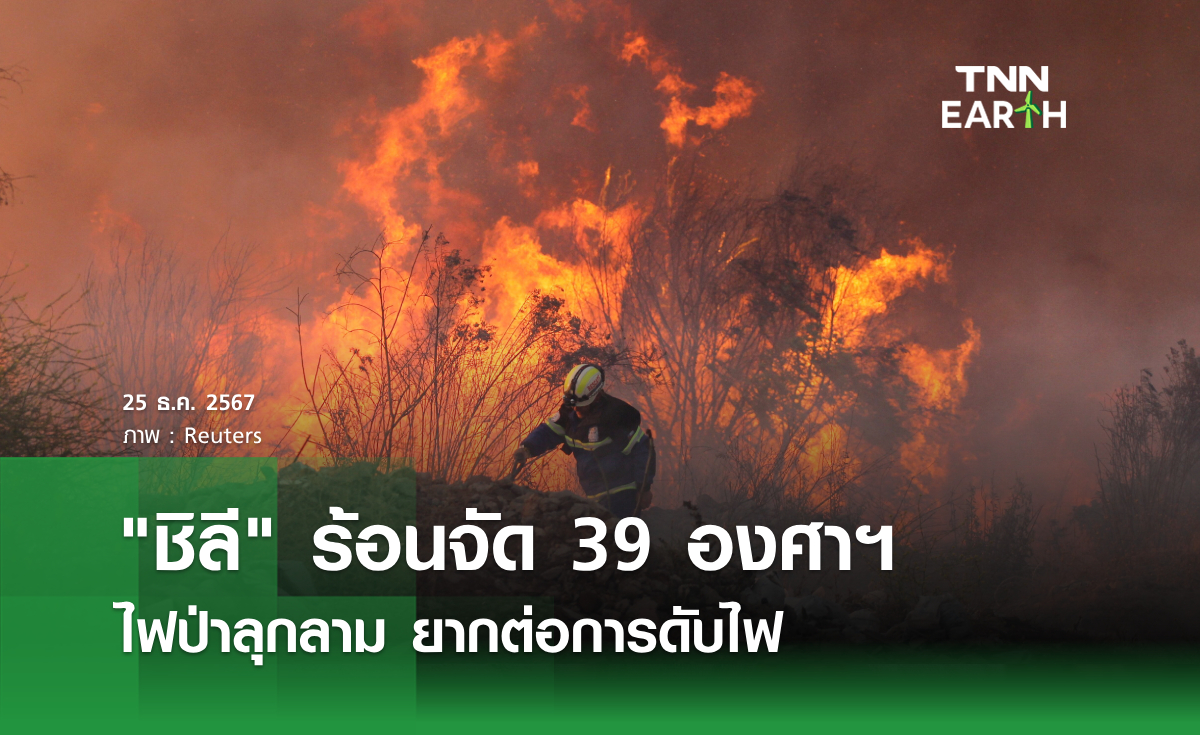 ชิลี ร้อนจัด 39 องศาฯ ไฟป่าลุกลาม ยากต่อการดับไฟ