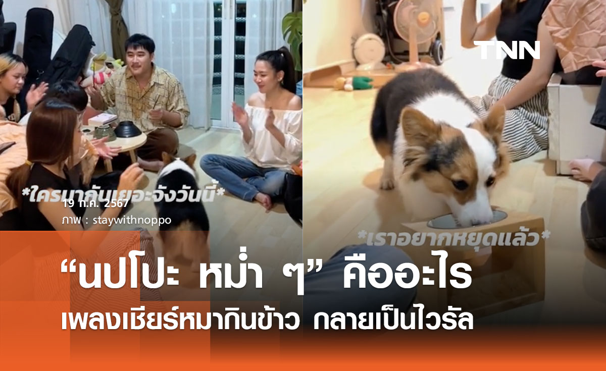 “นปโปะ หม่ำ ๆ” เปิดที่มาเพลงเชียร์หมากินข้าว  จนเป็นไวรัลฮิต TikTok 