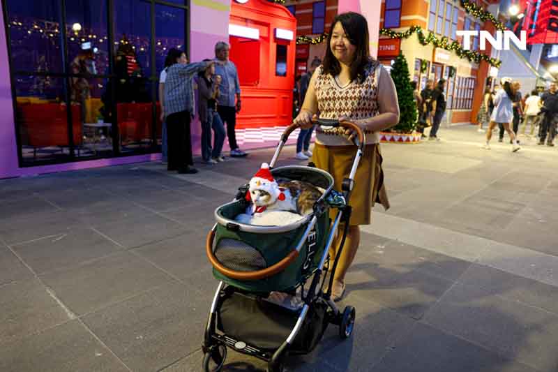 เปิดไฟต้นคริสต์มาส สู่ย่าน Regent Street แลนด์มาร์กที่ทุกคน “ต้องมา” 