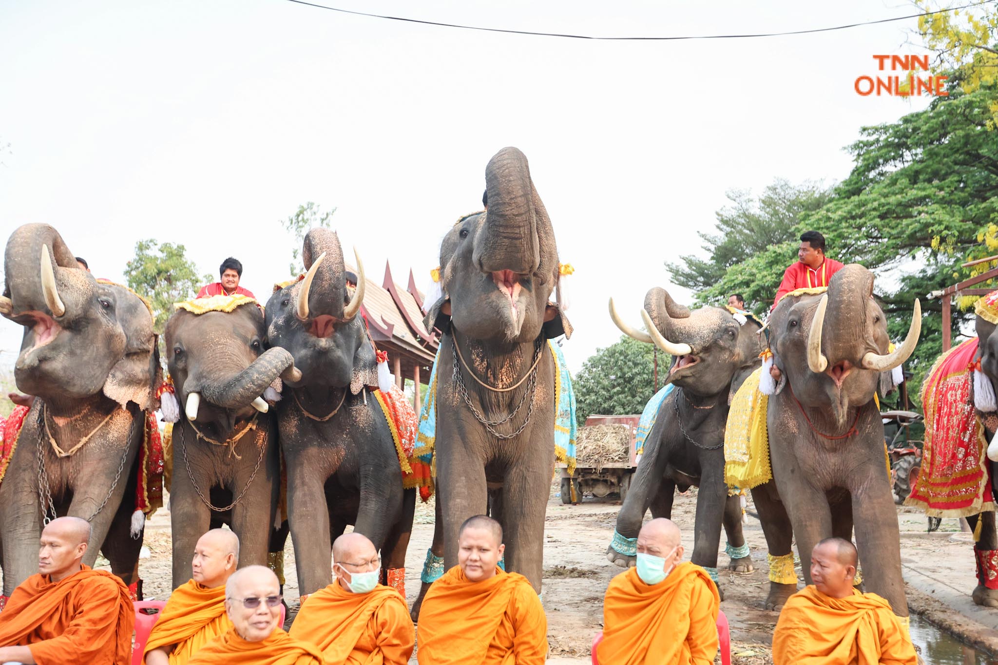 “วันช้างไทย” แลเพนียด ทำบุญ-เลี้ยงอาหารช้าง เพื่อเป็นสิริมงคล