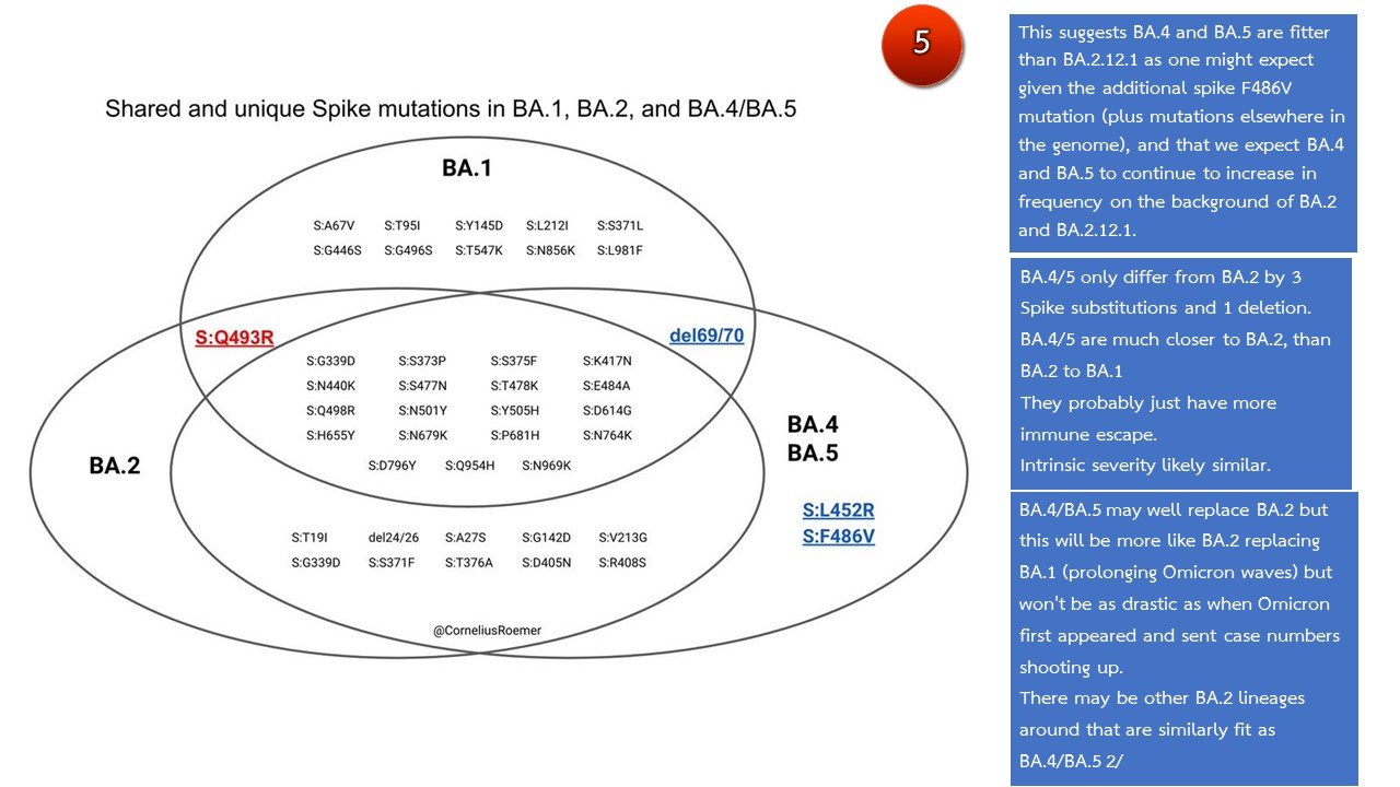 โอมิครอน BA.5 ศูนย์จีโนมฯเตือนระวังระบาดเข้ามาแทนที่ทุกสายพันธุ์!