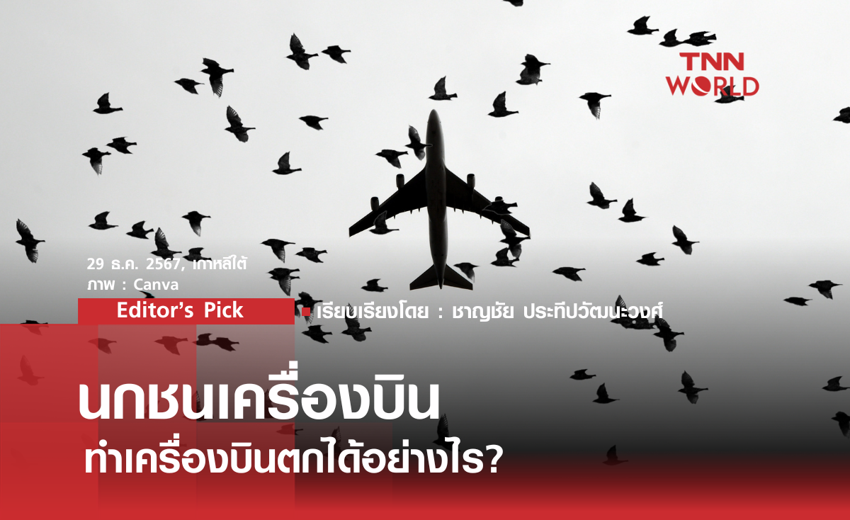 Editor’s Pick: ‘นกชนเครื่องบิน ทำเครื่องบินตกได้อย่างไร?’