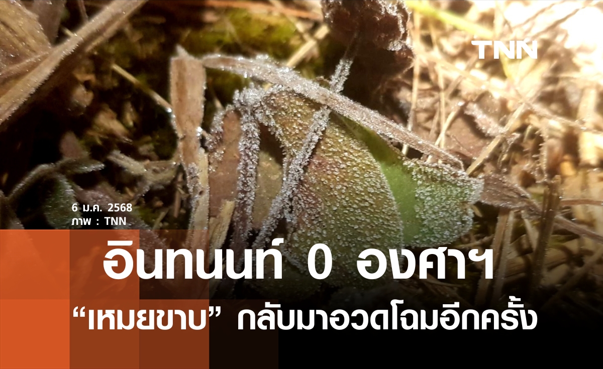 อินทนนท์ 0 องศาฯ เหมยขาบขาวโพลน