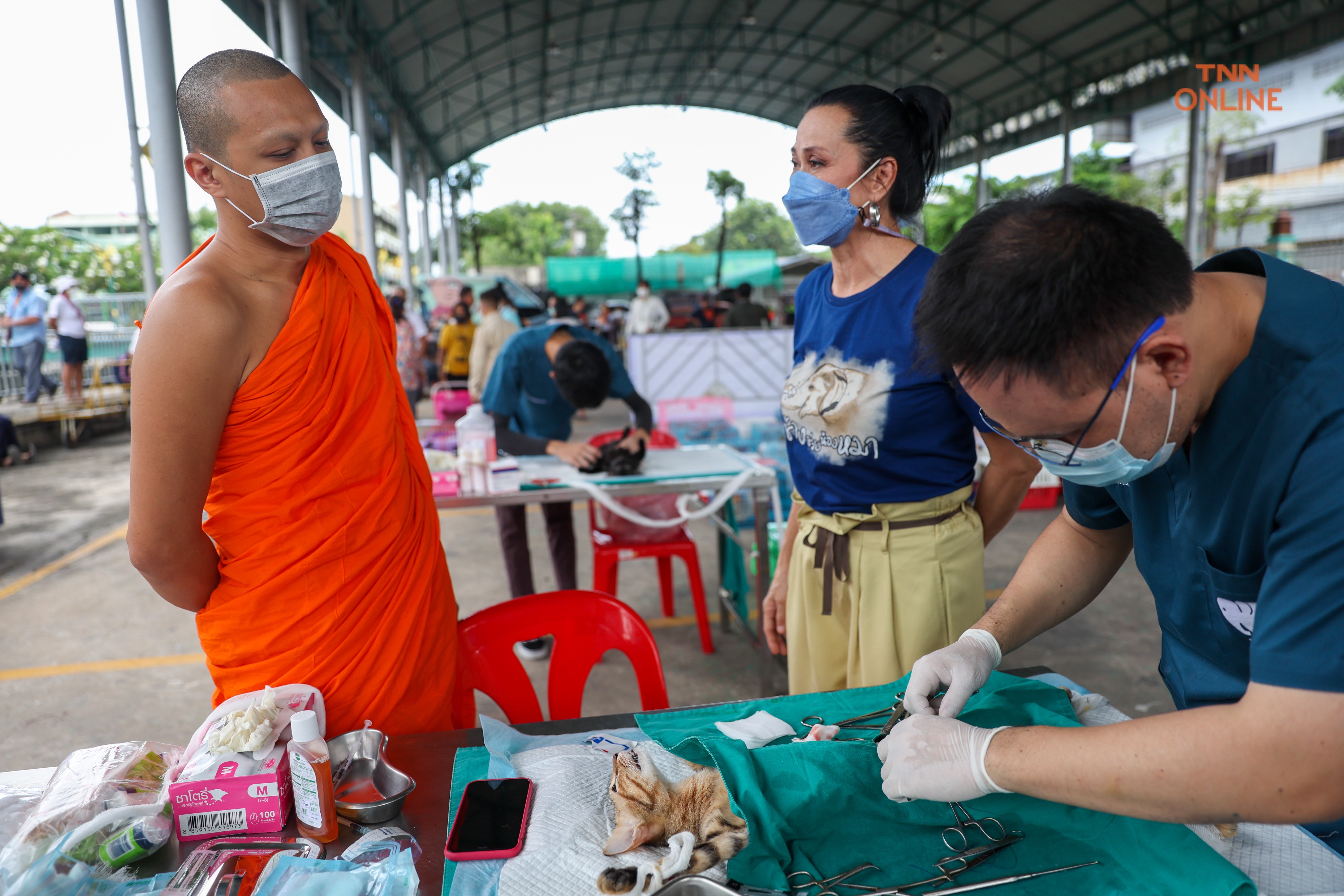 ทำหมันฟรีสุนัขและแมวควบคุมประชากรพร้อมจัดสวัสดิภาพสัตว์ 