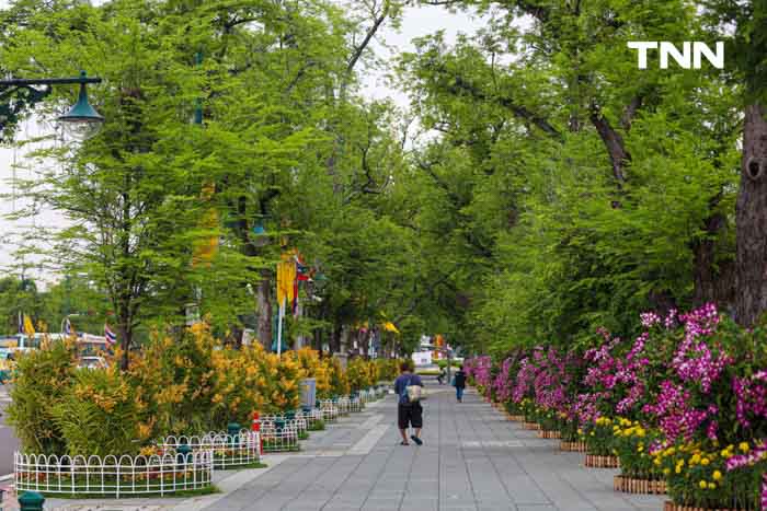 ประดับดอกไม้ เติมสีสันบนถนนประวัติศาสตร์ เฉลิมพระเกียรติในโอกาสพระราชพิธีมหามงคลวันเฉลิมพระชนมพรรษา 2567