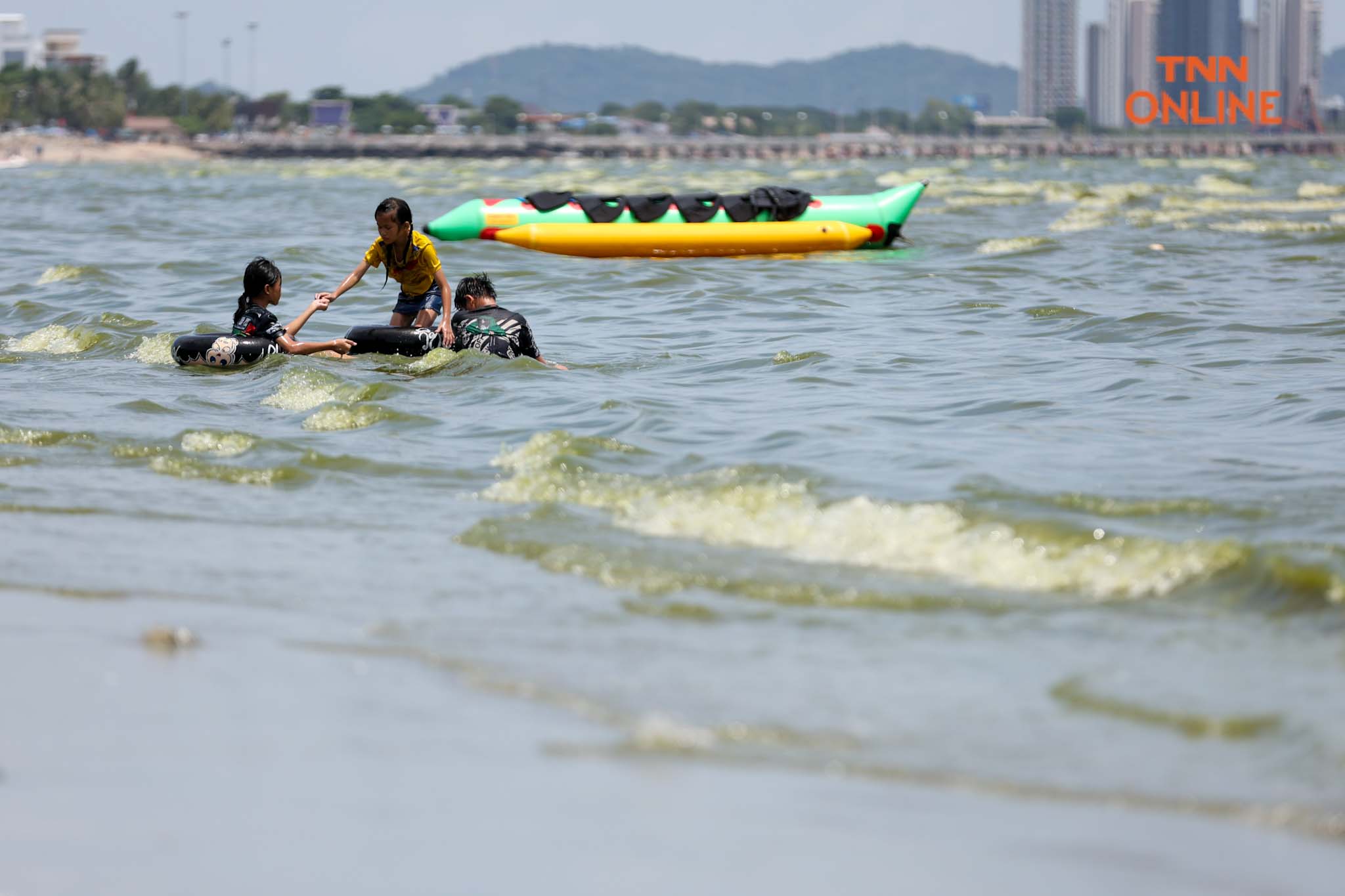 บางแสนน้ำทะเลสีเขียว จาก "แพลงก์ตอนบลูม" กระทบ นทท. บางตา