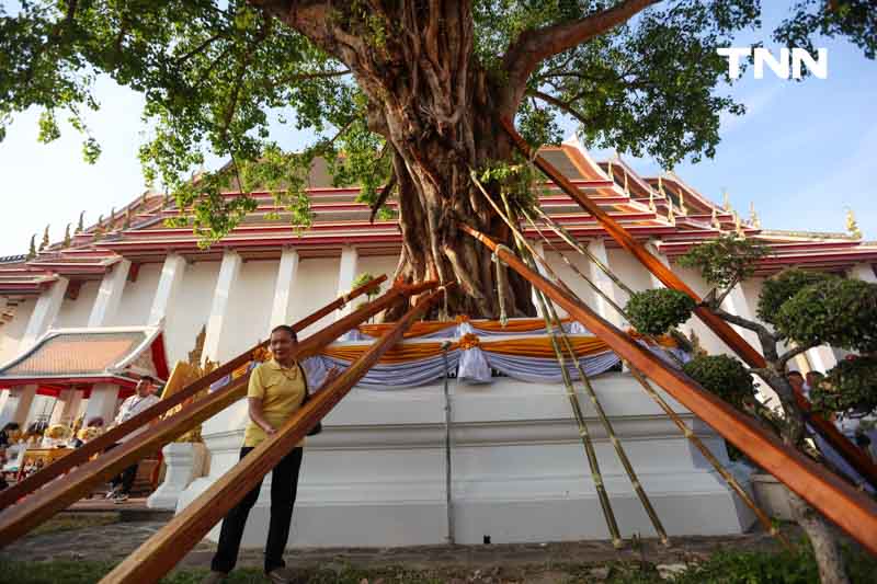 พิธีแห่ไม้คำโพธิ์หลวง เฉลิมพระเกียรติ เนื่องในพระราชพิธีสมมงคล 2568