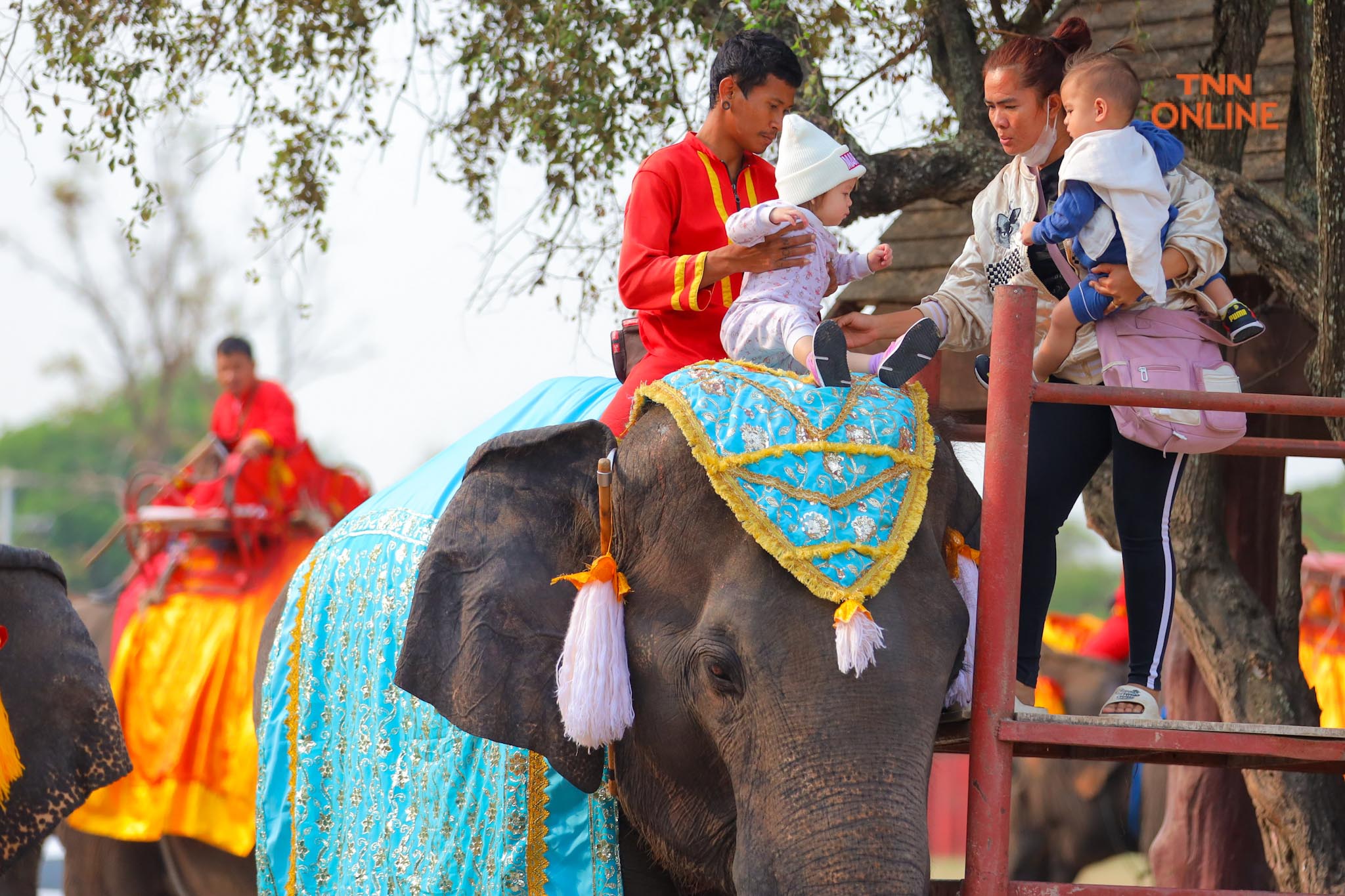 “วันช้างไทย” แลเพนียด ทำบุญ-เลี้ยงอาหารช้าง เพื่อเป็นสิริมงคล