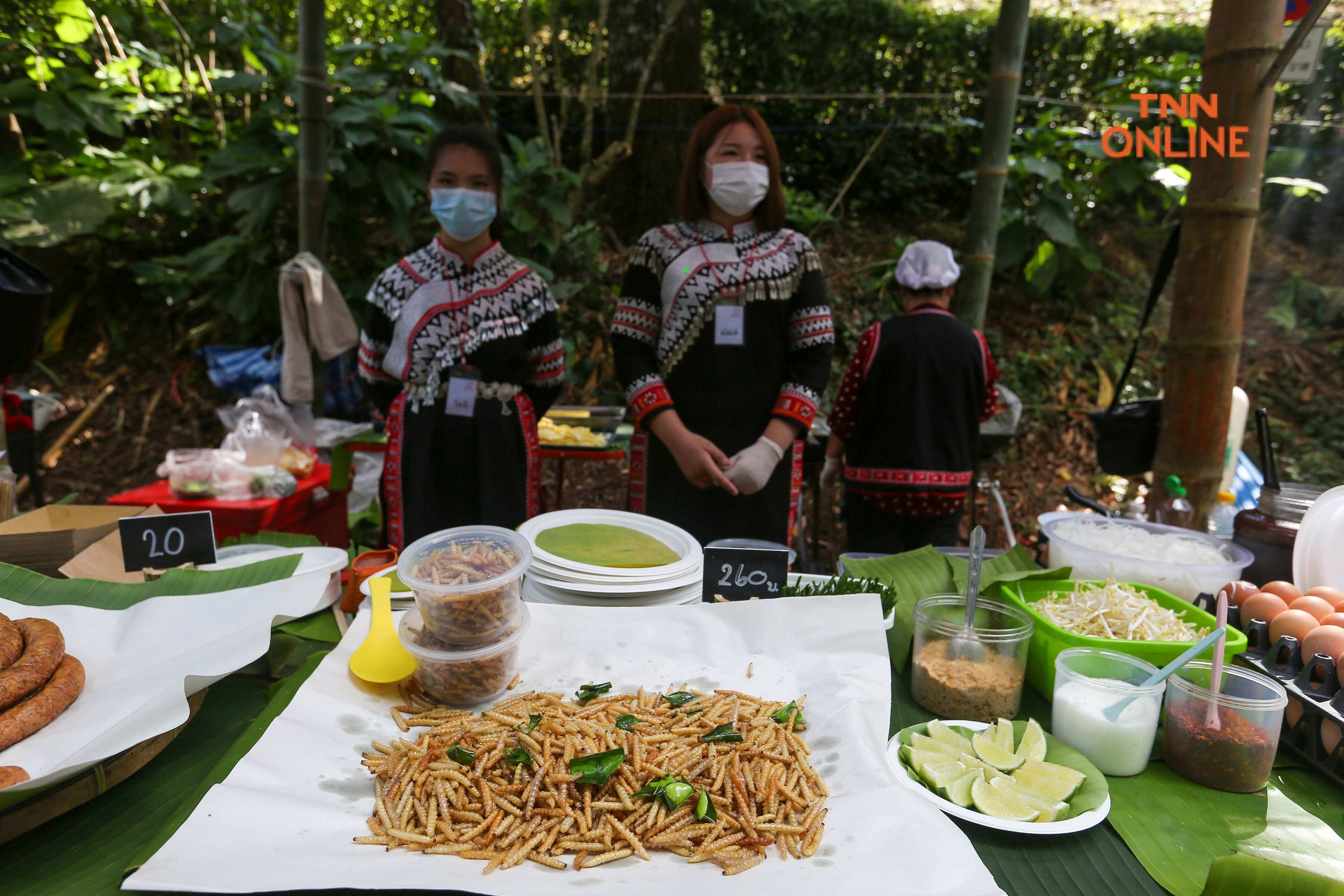 ประมวลภาพ สัมผัสลมหนาวในอ้อมกอดของขุนเขา เที่ยวงาน สีสันแห่งดอยตุง 