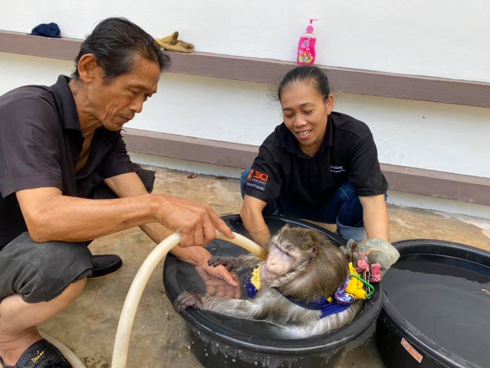 เปิดภาพล่าสุด ‘เจ้าก็อตซิลล่า’ คิดถึงเจ้าของหนักมากต้องอุ้มกินนม