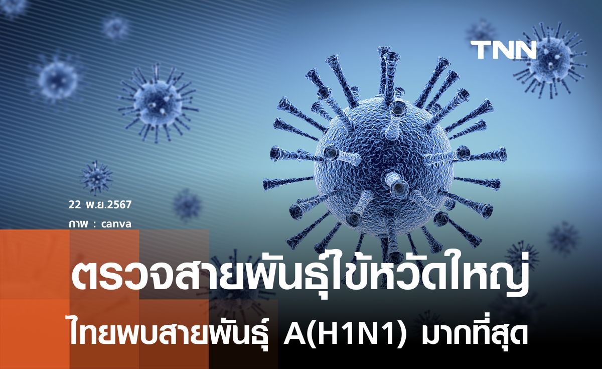 ไข้หวัดใหญ่ไทยพบสายพันธุ์ A(H1N1) มากที่สุด