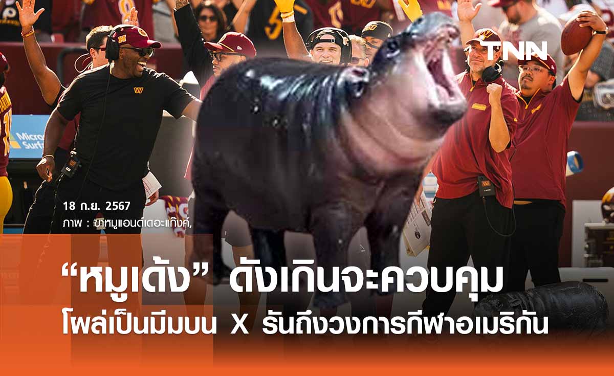 “หมูเด้ง” ดังเกินควบคุม โผล่เป็นมีมใน X  - วงการกีฬาอเมริกันก็เอาด้วย