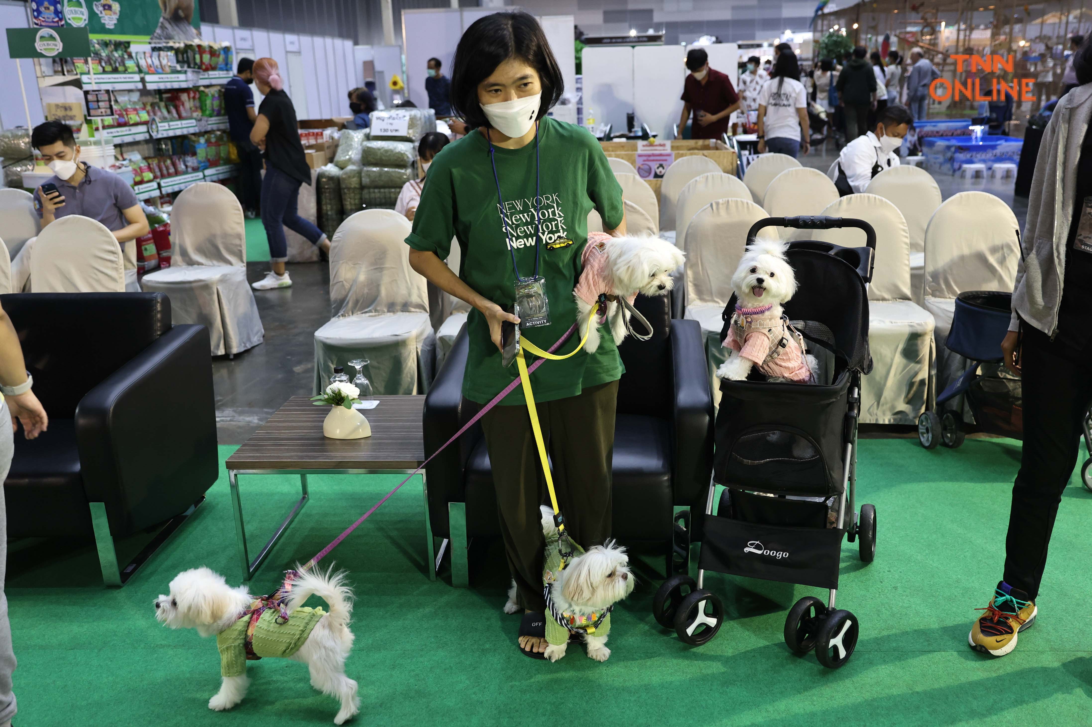 เริ่มแล้ว PET EXPO2022 ชวนชมความน่ารักจากเหล่าเพื่อนรักสี่ขา