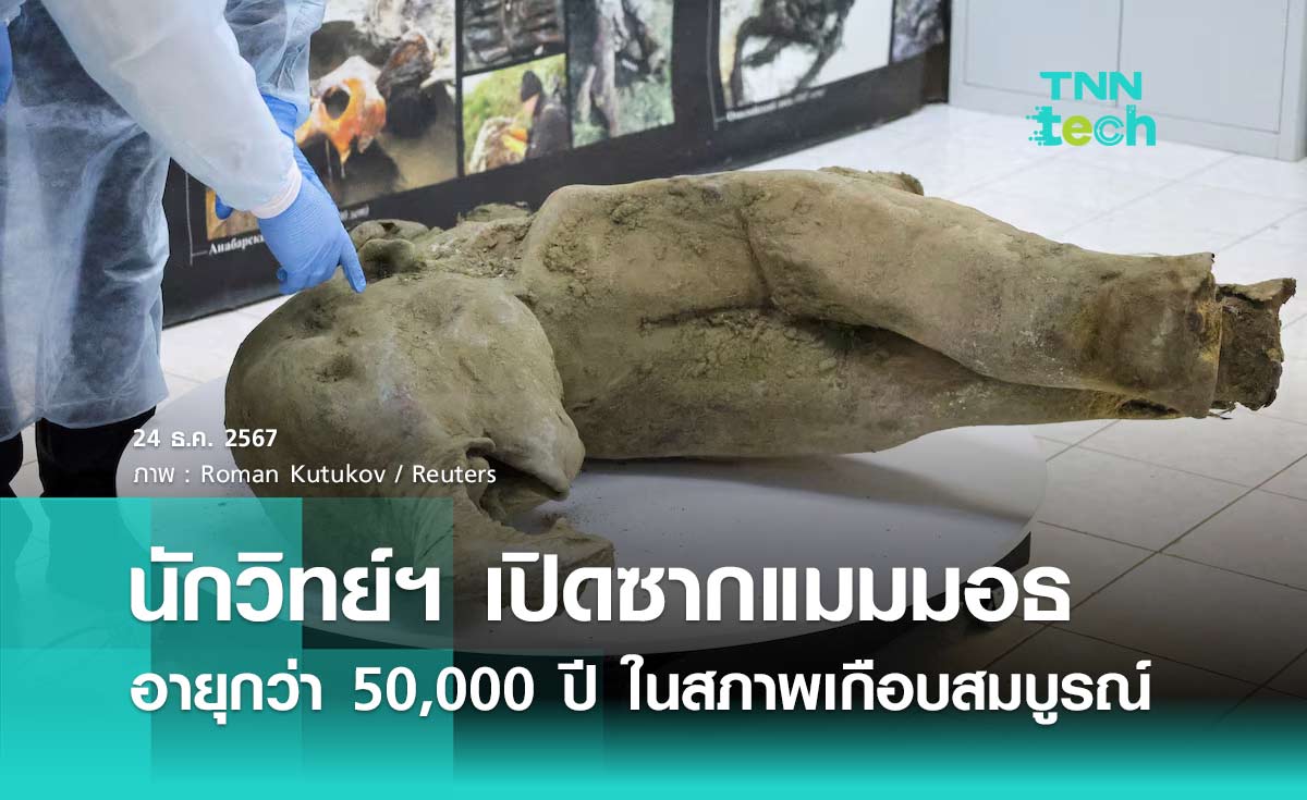 นักวิทยาศาสตร์เปิดเผยซาก แมมมอธน้อยยานา อายุกว่า 50,000 ปี