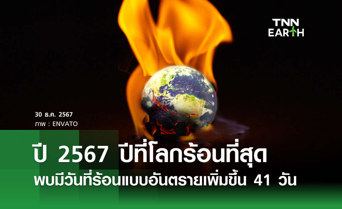 ปี 2567 ปีที่โลกร้อนที่สุด พบมีวันที่ร้อนแบบอันตรายเพิ่มขึ้น 41 วัน